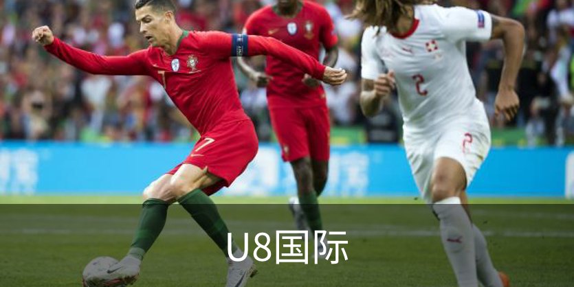 关于U8国际
